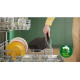 Philips HD9252/70 Airfryer Essential Φριτέζα 4.1Lt